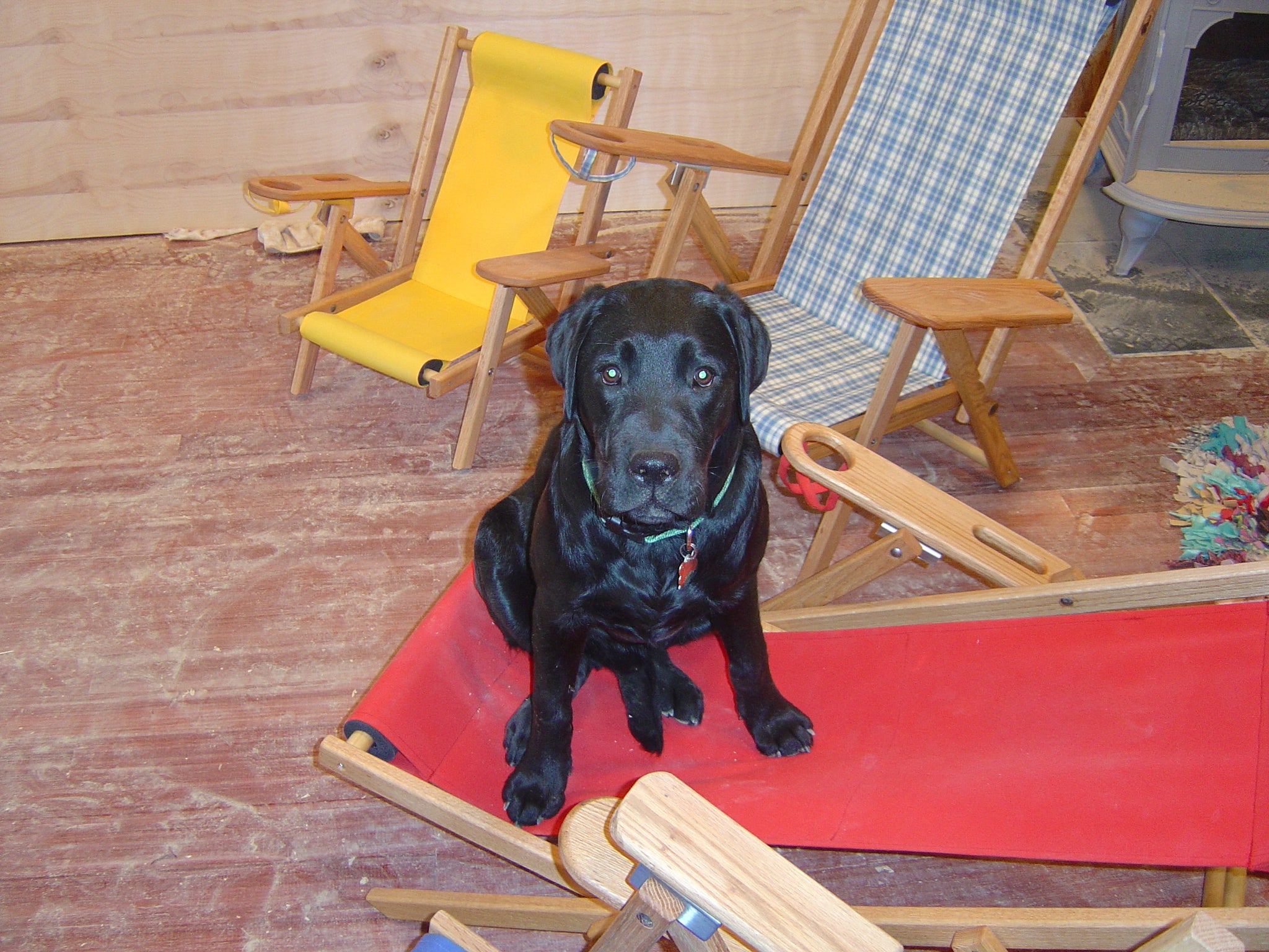 Cape Cod Beach Chair Company was officially founded 20 years ago, becoming a testament to the American Dream and one of the Cape's most iconic brands.