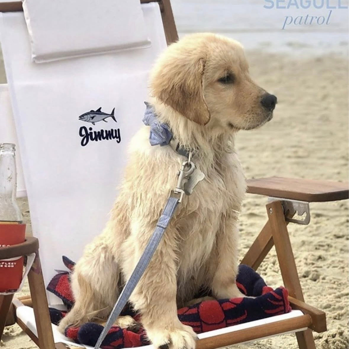 Teak Nauset Recliner- White
