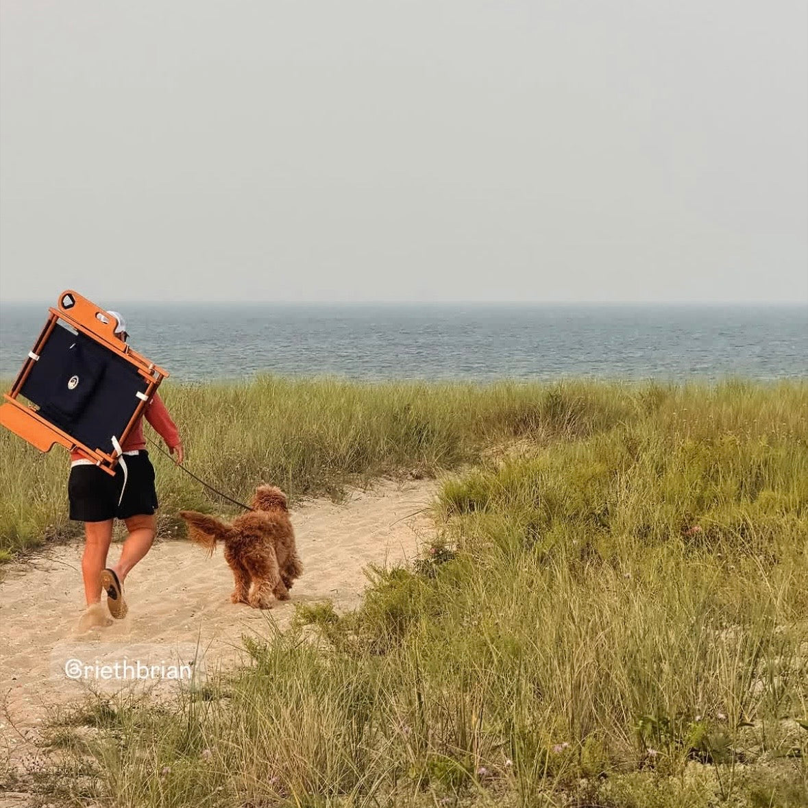 A person walking down a path to the beach on Martha's Vineyard with his dog.