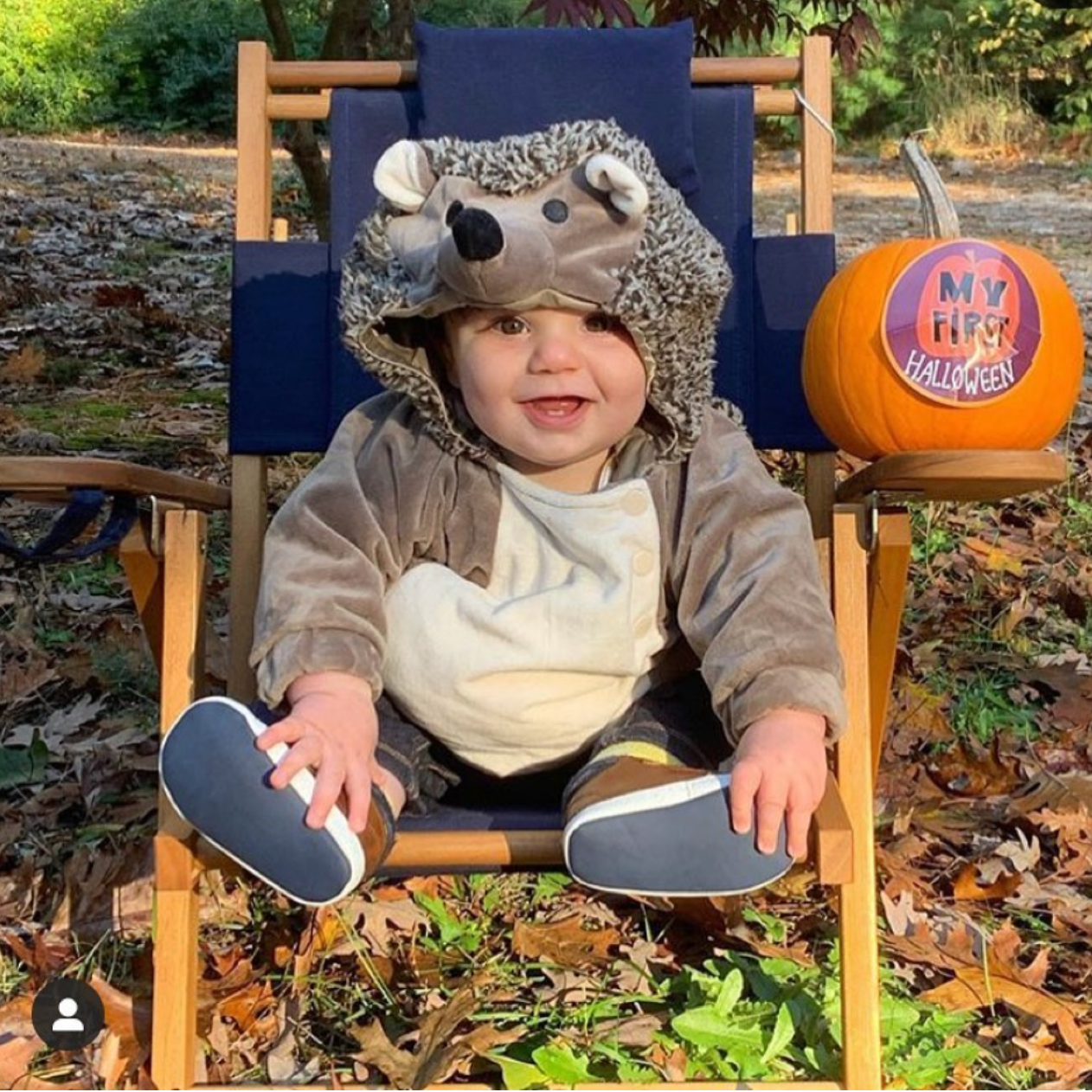 Child in a hedgehog costume sitting on a chair outdoors with pumpkins in the background.