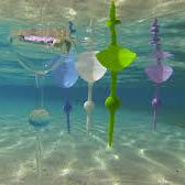 Floating Wine Glasses